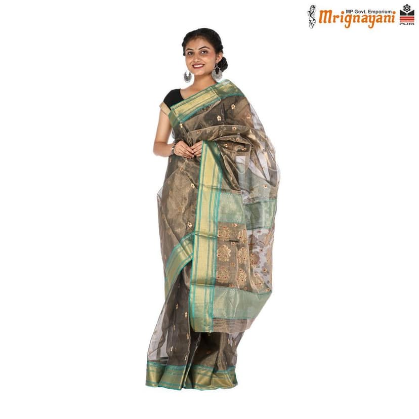 HANDLOOM CHANDERI TISSUE SILK SAREE WITH BLOUSE (SKU - 1SC201200422, SAREE - 1011) view 2