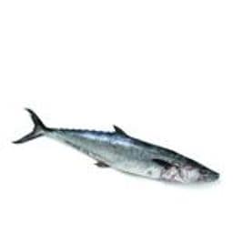 Anjal /Seer Fish/ Vanjaram 500 Gms