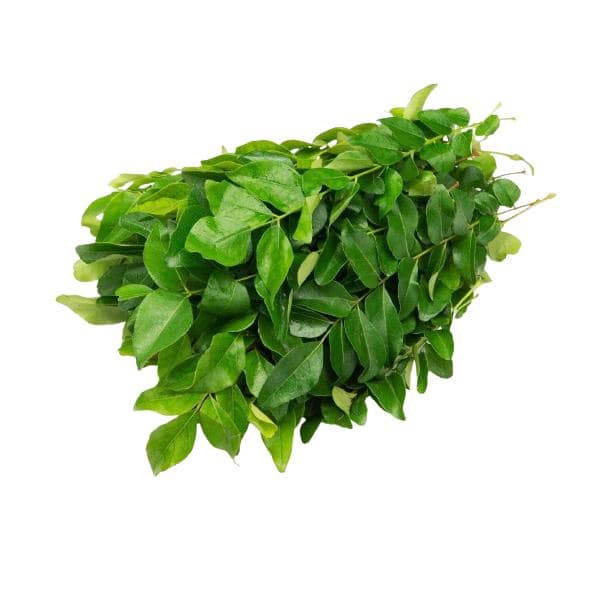 Curry Leaves (Bundle)