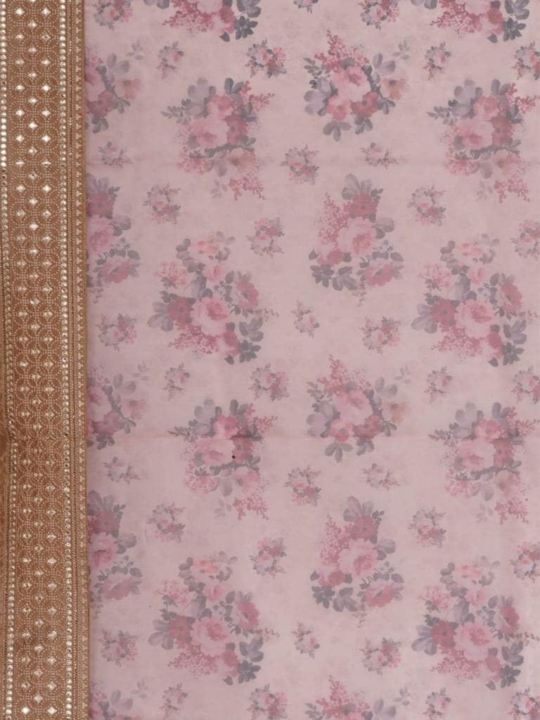 Beige Organza Floral Saree view 4