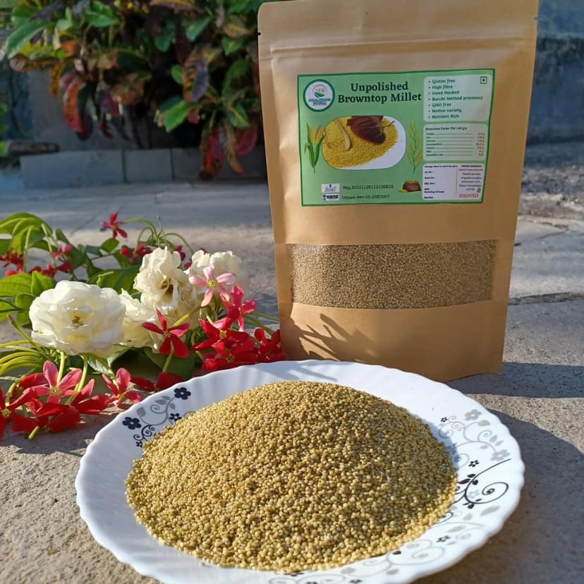 Deolali Pravara Naturals Unpolished Browntop Millet | Gluten Free & High Fibre | Healthy Cooking