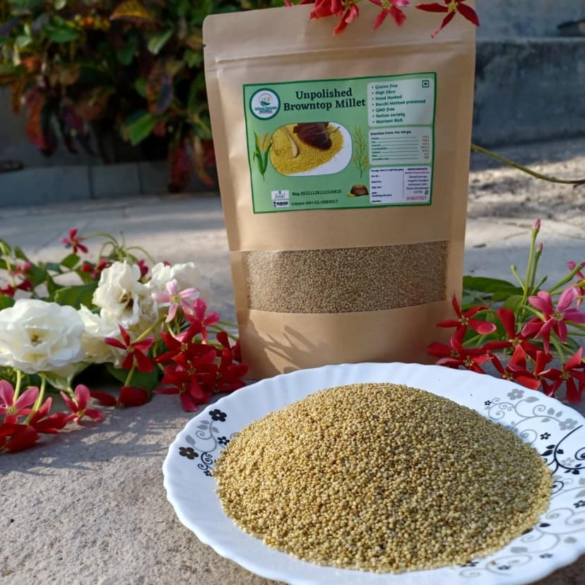 Deolali Pravara Naturals Unpolished Browntop Millet | Gluten Free & High Fibre | Healthy Cooking view 2