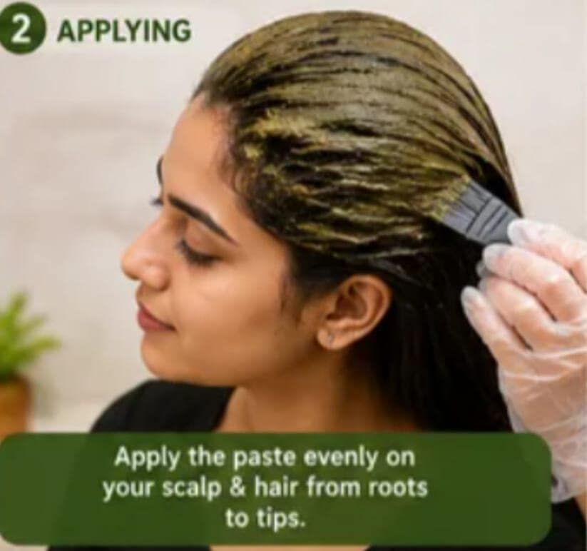 SHUSHRAJ JAIVIK Haircare Combo Pack – Amla, Reetha & Shikakai Powder | 100% Pure & Natural Herbal Hair Care | For Strong, Shiny & Healthy Hair | 80g Each view 6