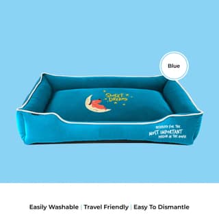 CAPTAIN ZACK- DREAM BEDZZZ BLUE (M-L)