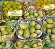 Mango Keshar