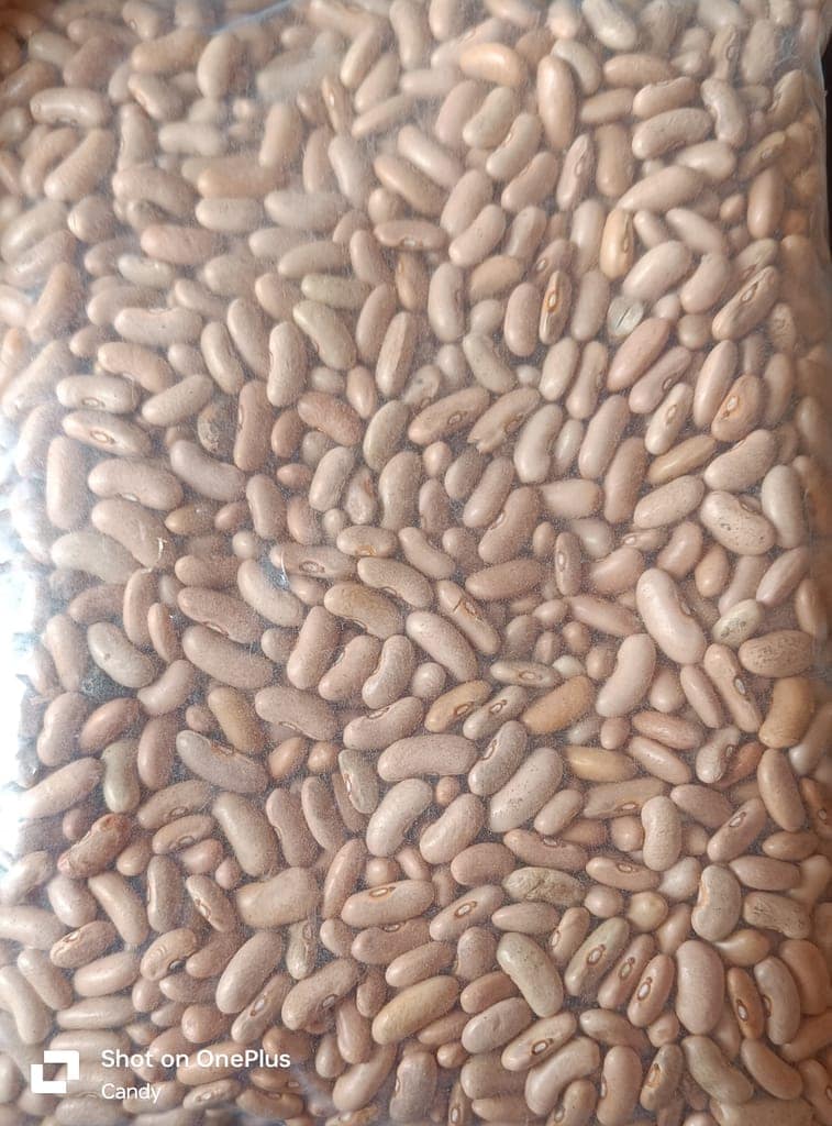RAJMA DAL view 3