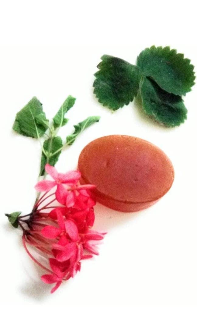 Shree Hari Natural Soaps view 3