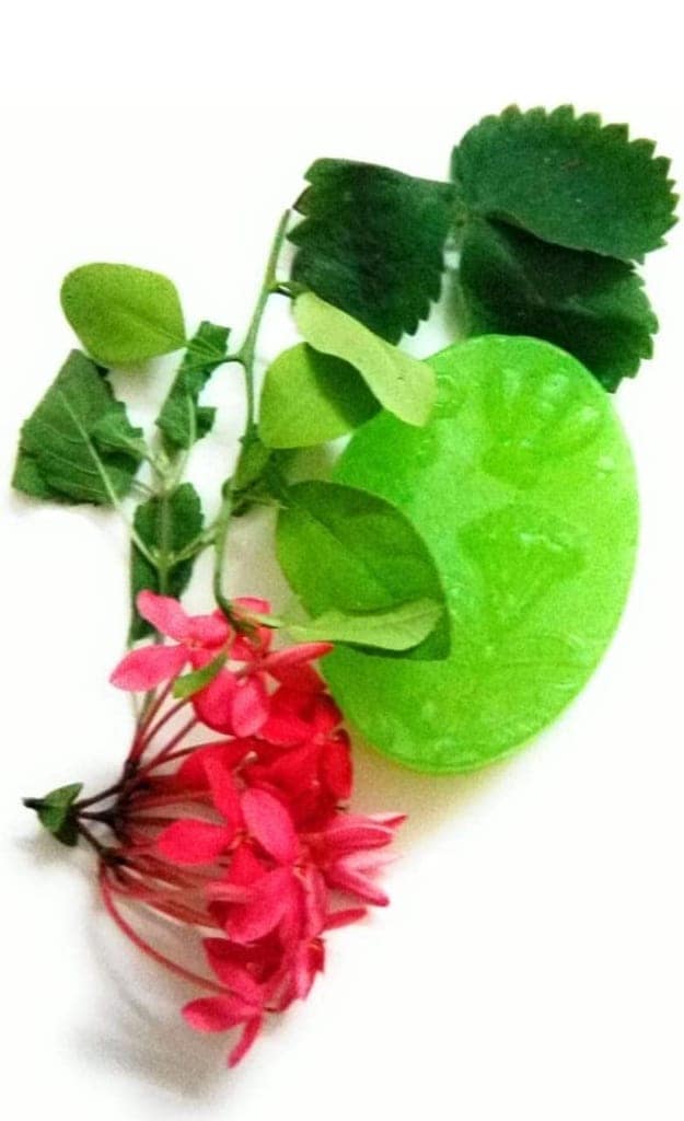 Shree Hari Natural Soaps view 4
