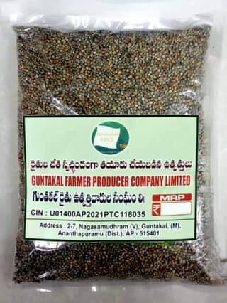 Sajjalu