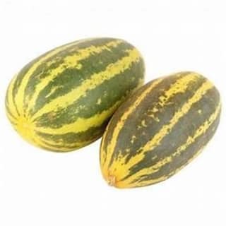 Mangalore Cucumber - Manglore Kakdi - Taushe -1Pc(Approx.500-900 gm)