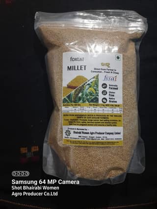 Foxtail Millet Grain