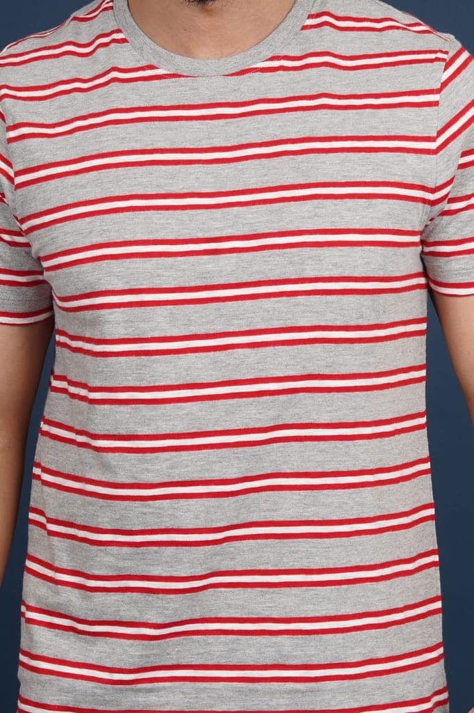 Men's Grey Melange Striped Crew Neck T-Shirt view 4