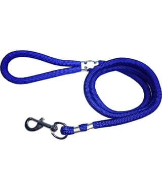 Petshop7 - Red Leash ( Medium )