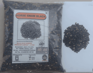 Black Horse Gram