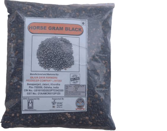 Black Horse Gram view 2