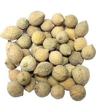 Nutrixia Food Putrajeevak Beej पुत्रजीवक बीज Raw Herbs 100 gm pack of 1