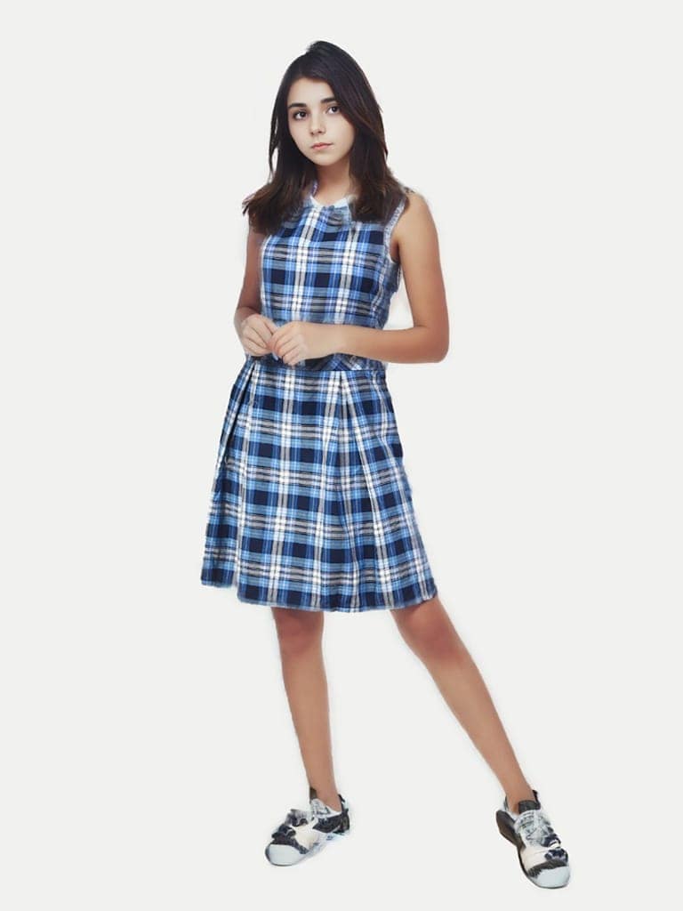 Girls Blue A-line Pleated-dress with Checks view 3