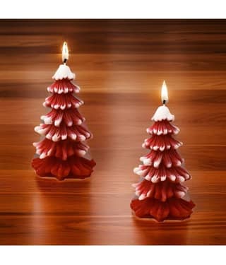 SS ENTERPRISE Multicolour Wax Tea Light Candle 5 cm ( Pack of 2 )