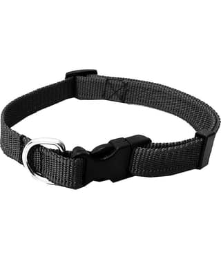 Petshop7 - Red Collar ( Small )