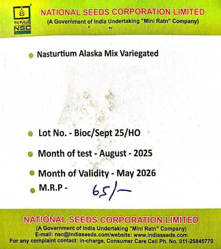 NSC Nasturtium Alaska mix Variegated-3gms view 2