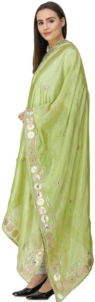 Greenery Dupatta from Amritsar Embellished with Patch Border view 3