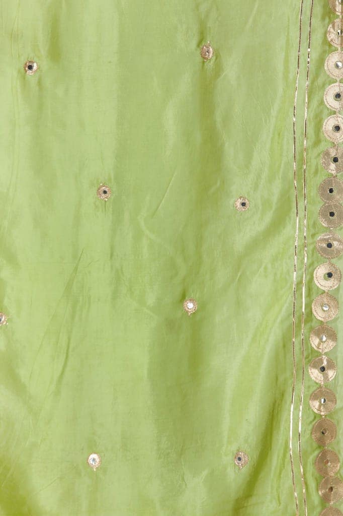 Greenery Dupatta from Amritsar Embellished with Patch Border view 5