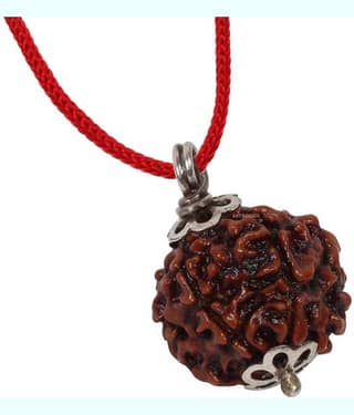 Astrodidi 6 Mukhi Rudraksha Pendant With Lab Certificate