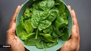 Spinach (Palak) 100g view 2