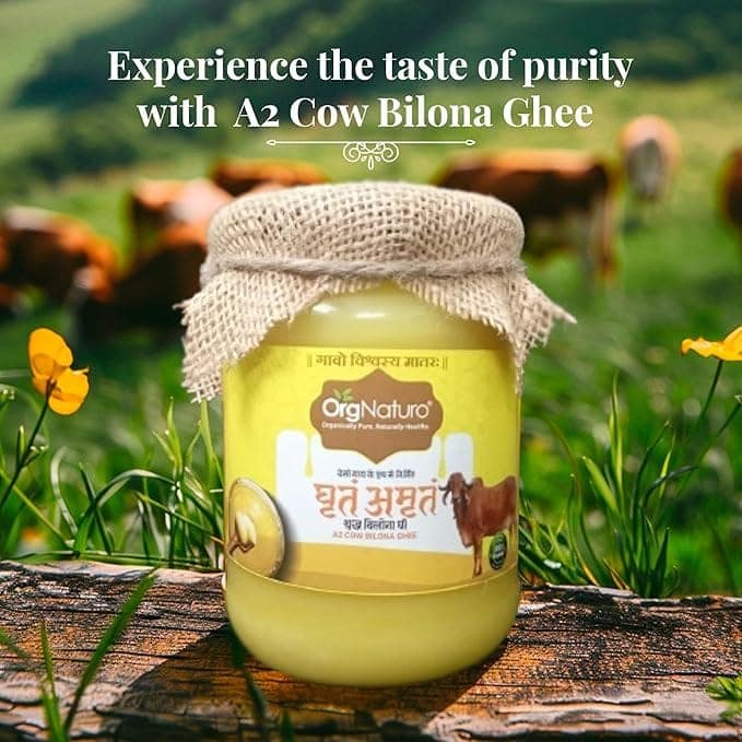 OrgNaturo Pure Desi Cow Bilona Ghee - 500 Ml|Vedic Bilona Method|Traditional Hand Churned|100% Pure and Natural view 4