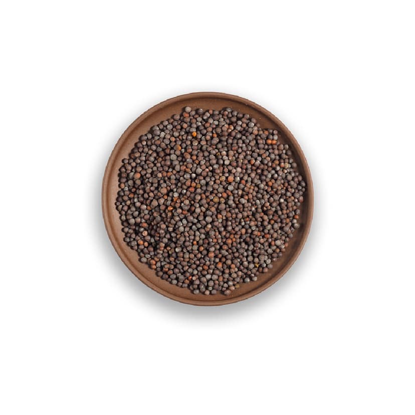 Organic Black Mustard 100g view 3