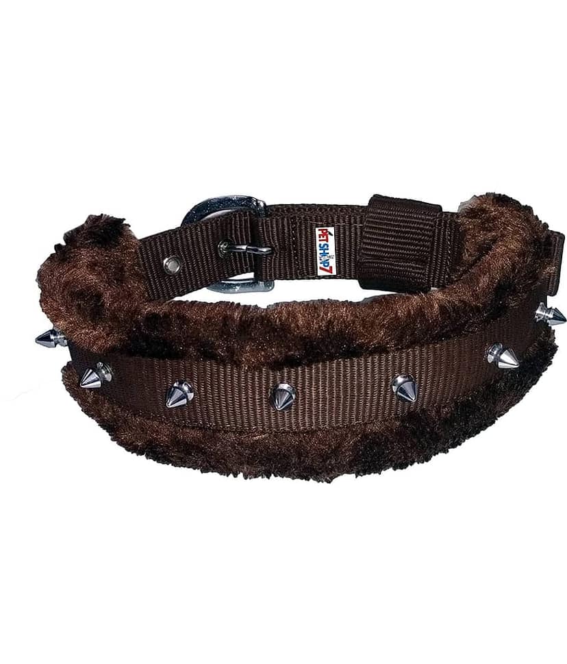 Petshop7 - Blue Combo ( Large ) view 3