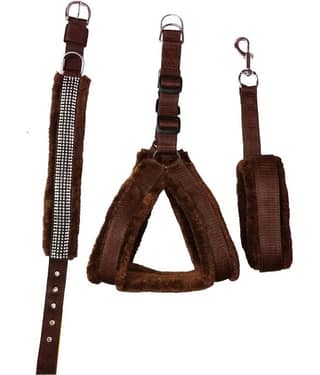 Petshop7 - Brown Dog Combo (Large)