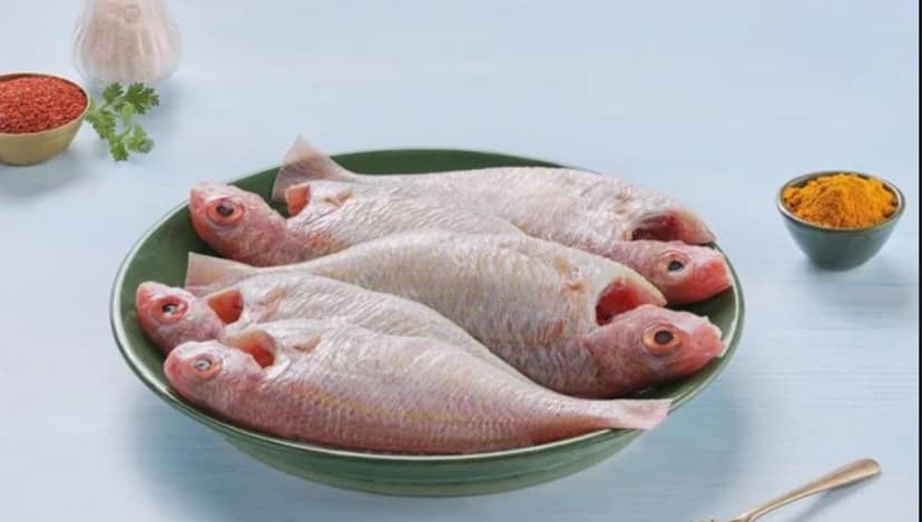 Pink Perch / Kilimeen / Sankara Meen - Whole Cleaned -750gms (Before Cleaning)