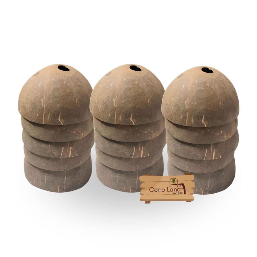 Coco Land Holed Coconut Shell Finished Raw Craft | Decorative Pots,Craft Making | Handicraft,Agricraft