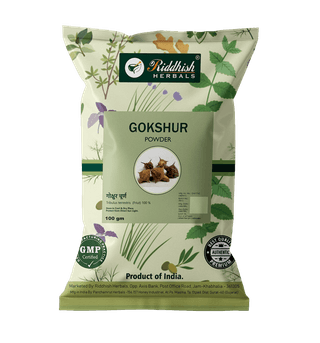Riddhish Herbals Guduchi Powder (100 gm Each) - combo pack (3)