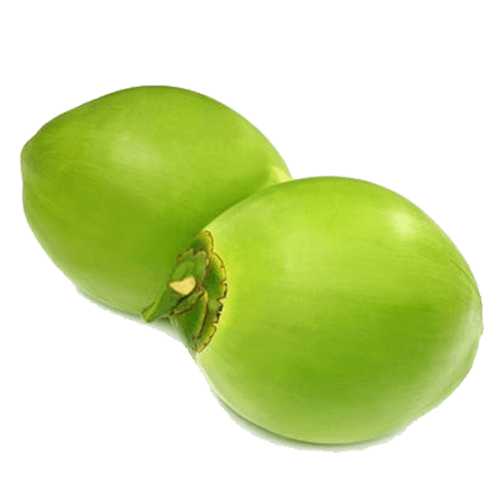 Tender Coconut Pack of 2 x 1 pc