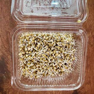 Ruchira Sprouts Green Gram 250 Gms