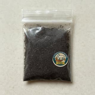 Vechangi santhi Galleria's black salt powder
