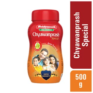 Baidyanath Chyawanprash Special 500 Gms
