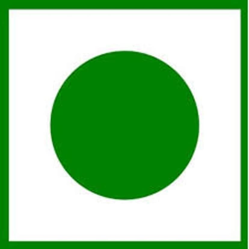 Tea Leaf Delight Premium Darjeeling Whole Leaf Tea 100g view 4