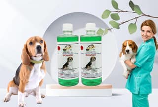 SWACCH Shampoo Specially FORMULATED for Beagle (500ML) (Pack of 2) NEEM ALOVERA