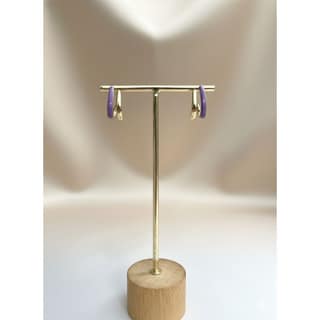 Earrings Dual-Tone