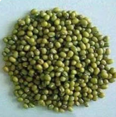 MOONG view 3