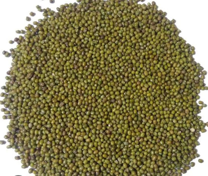 MOONG view 4
