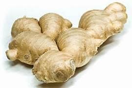 GINGER view 3