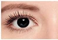 BLACK MD 2 LENS YEARLY CRAZY CONTACT LENS/HORROR LENS WITH CASE, LENS HOLDER AND 80 ML SOLUTION (PACK OF 2 LENS) view 2