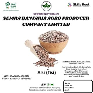 Alsi (Tisi)