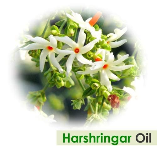 Salvia Harshringar (Nyctanthes Arbor-Tristis) |100% Pure & Natural Undiluted Carrier Oil - 15ml Salvia Harshringar (Nyctanthes Arbor-Tristis) |100% Pure & Natural Undiluted Carrier Oil - 15ml - 15 ml (Pack of 1) view 2