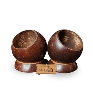 CocoLand Coconut Shell Pen Holder /Pencil Holder/ Knife Holder/ Dusk Organizer/ Stationary Organizer /Brush Holder /Tools Holder