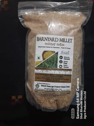 Barnyard Millet ( Unpolished grains )